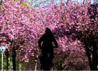 Wetterbilanz: Frühjahr in Deutschland war eines der mildesten seit Messbeginn