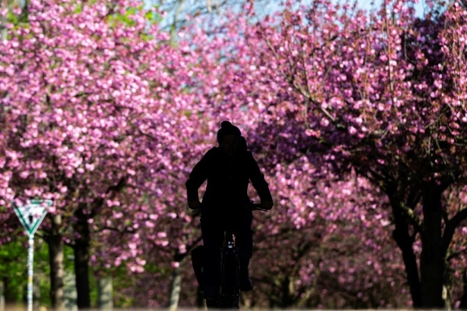 Wetterbilanz: Frühjahr in Deutschland war eines der mildesten seit Messbeginn