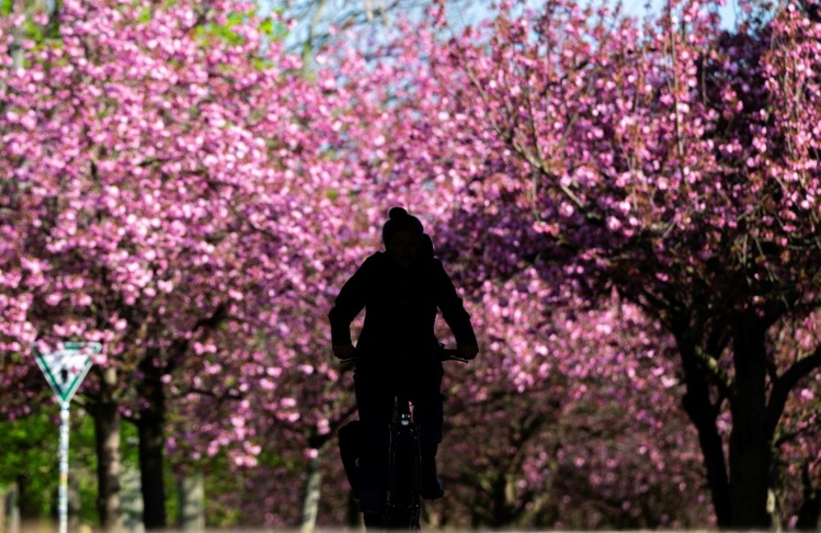 Wetterbilanz: Frühjahr in Deutschland war eines der mildesten seit Messbeginn
