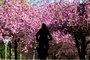 Wetterbilanz: Frühjahr in Deutschland war eines der mildesten seit Messbeginn