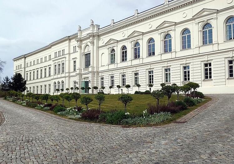 Leopoldina kritisiert EU-Pläne für Pestizid-Zulassungen