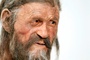 Wissenschaftler entdecken Hefe in Darm von Ötzi - und backen Brot daraus