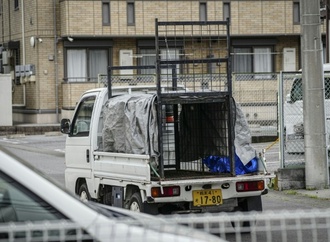 Streunender Bär in japanischer Stadt nach vier Tagen eingefangen