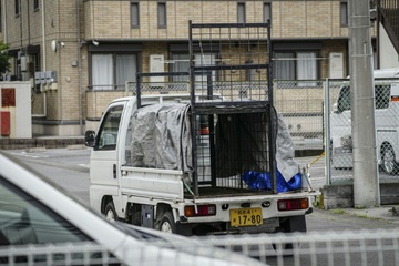 Streunender Bär in japanischer Stadt nach vier Tagen eingefangen