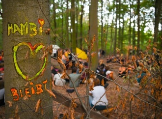 Hambacher Wald soll zu Wildnis werden: Einigung über dauerhaften Schutz