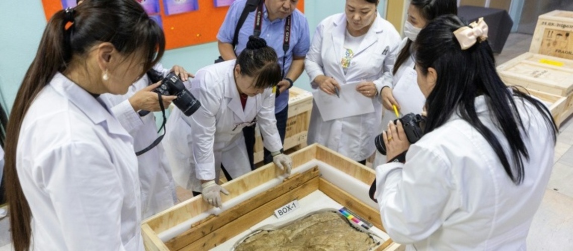 Mongolei erhält geschmuggelte Dinosaurier-Fossilien zurück
