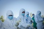 WHO: Ebola-Ausbruch weitet sich auf neue Gebiete im Nordosten des Kongo aus