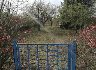 Gartenbesitzer in Deutschland fördern verstärkt Artenvielfalt
