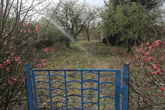 Gartenbesitzer in Deutschland fördern verstärkt Artenvielfalt
