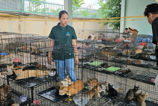 Polizei in Vietnam zerschlägt Katzenfleisch-Netzwerk