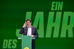 Grüne fordern Koalition zu Rücknahme von Heizungsgesetz auf - vor Anhörung im Bundestag