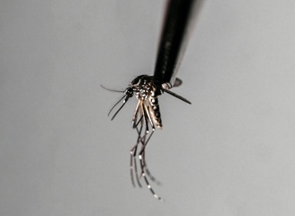 Armee soll in Sri Lanka bei Eindämmung von Dengue-Fieber helfen