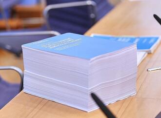 Bundestagsabgeordnete drängen nach Gutachten auf AfD-Verbotsprüfung