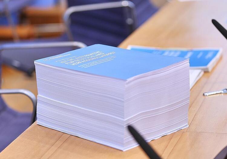 Bundestagsabgeordnete drängen nach Gutachten auf AfD-Verbotsprüfung