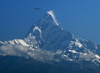 Vogelgrippe breitet sich in Nepal aus - Einziger Zoo des Landes geschlossen