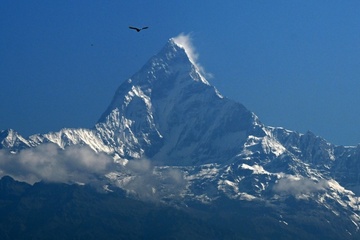 Vogelgrippe breitet sich in Nepal aus - Einziger Zoo des Landes geschlossen