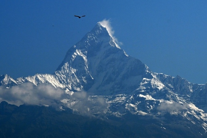 Vogelgrippe breitet sich in Nepal aus - Einziger Zoo des Landes geschlossen