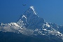 Vogelgrippe breitet sich in Nepal aus - Einziger Zoo des Landes geschlossen
