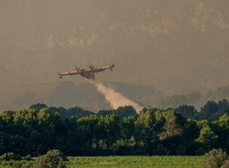 Großer Waldbrand in Südfrankreich - 800 Hektar Fläche zerstört
