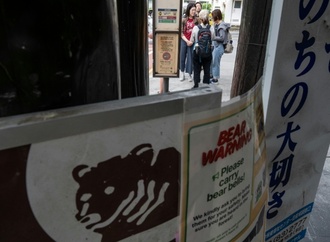 Bären-Abwehrspray versehentlich ausgelöst: Fünf Menschen in Japan im Krankenhaus