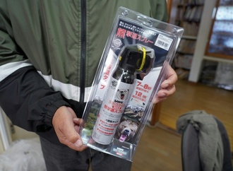 Schutz vor Bären-Angriffen: Japan installiert hunderte Überwachungskameras
