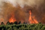 3000 Menschen wegen Waldbrand im Süden Frankreichs evakuiert