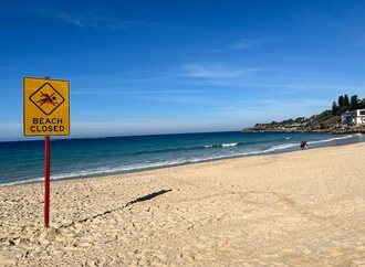 73 Hai-Sichtungen vor Sydney innerhalb von zwei Tagen