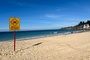 73 Hai-Sichtungen vor Sydney innerhalb von zwei Tagen