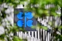 Opec+ erhöht abermals die Ölförderquote