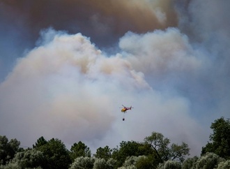 Mindestens zwölf Tote bei Waldbrand im südspanischen Andalusien