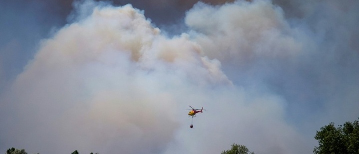 Zwölf Tote bei Waldbrand in Andalusien - Womöglich Stromleitung verantwortlich