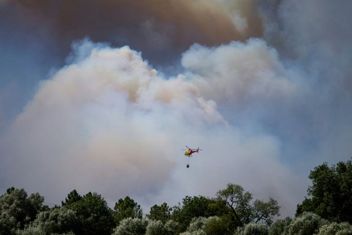 Mindestens zwölf Tote bei verheerendem Waldbrand in Spanien - Opfer wohl Ausländer