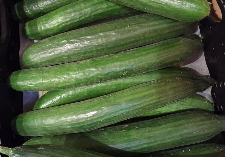 Landwirtschaftliche Erzeugerpreise deutlich gesunken