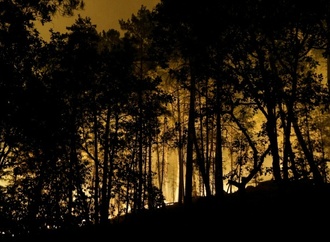 Waldbrand bei Fontainebleau nahe Paris - Urlaubsverkehr beeinträchtigt