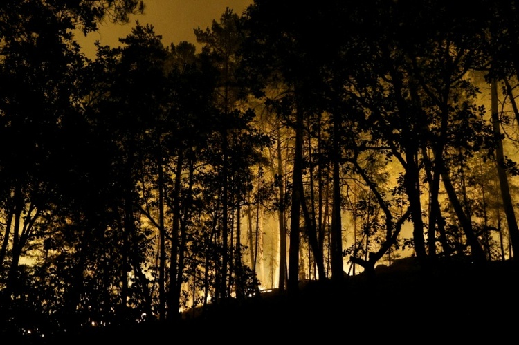Waldbrand bei Fontainebleau nahe Paris - Urlaubsverkehr beeinträchtigt