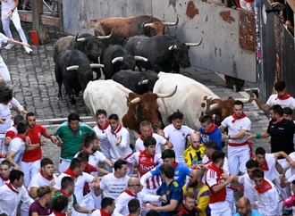57 Verletzte bei diesjährigem Stiertreiben in Pamplona - Deutscher am Arm aufgespießt