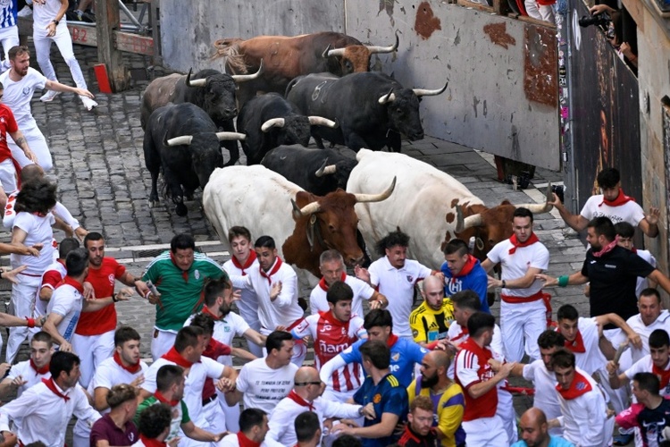 57 Verletzte bei diesjährigem Stiertreiben in Pamplona - Deutscher am Arm aufgespießt