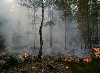 Waldbrand südlich von Paris wütet weiter: Gut 2000 Hektar abgebrannt