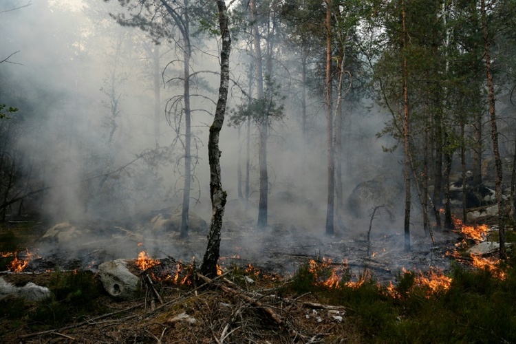 Waldbrand südlich von Paris: Feuerwehrmann gesteht Brandstiftung