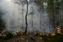 Waldbrand südlich von Paris wütet weiter: Gut 2000 Hektar abgebrannt