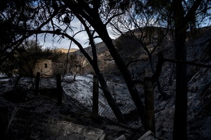 Bilanz von Waldbrand in Andalusien: Zwölf der 13 Todesopfer stammten aus dem Ausland
