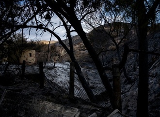 Bilanz von Waldbrand in Andalusien: Zwölf der 13 Todesopfer stammten aus dem Ausland