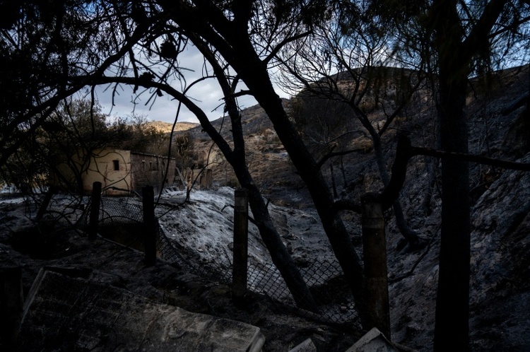 Bilanz von Waldbrand in Andalusien: Zwölf der 13 Todesopfer stammten aus dem Ausland