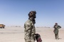 Mali: Mehr als 50 Tote bei Angriff von Dschihadisten und Tuaregs auf Militärkonvoi