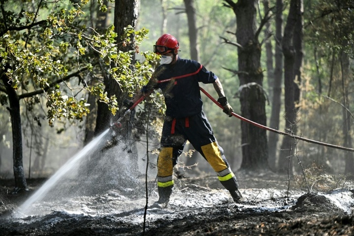 Hunderte Feuerwehrleute gegen Waldbrände in Frankreich im Einsatz