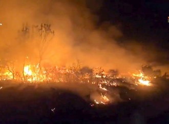 Waldbrand in Spanien zerstört bereits Fläche von 26.000 Hektar - 1200 Evakuierte