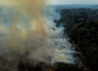 Waldbrände im Amazonas-Regenwald 2025 auf tiefstem Stand seit Jahrzehnten