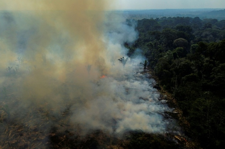 Waldbrände im Amazonas-Regenwald 2025 auf tiefstem Stand seit Jahrzehnten