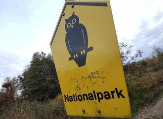 Waldbrand-Experte kritisiert Löschstrategie im Müritz-Nationalpark