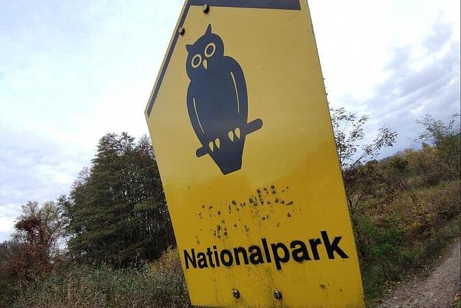 Waldbrand-Experte kritisiert Löschstrategie im Müritz-Nationalpark